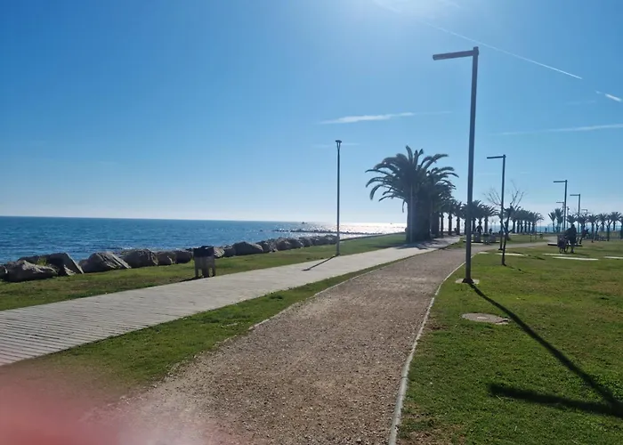 Constitución * Benicarló