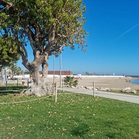 公寓 Constitucion 贝尼卡洛